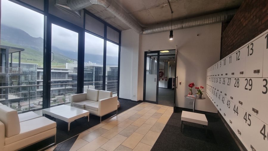 To Let Commercial Property for Rent in Woodstock Western Cape